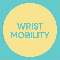 Wrist Mobility